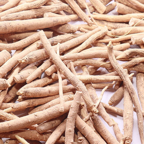Withania somnifera (Ashwagandha)